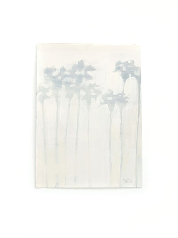 Foggy Palms